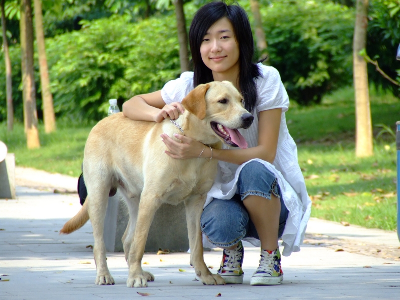 风中的绿叶的第一张照片--宁波相亲服务中心