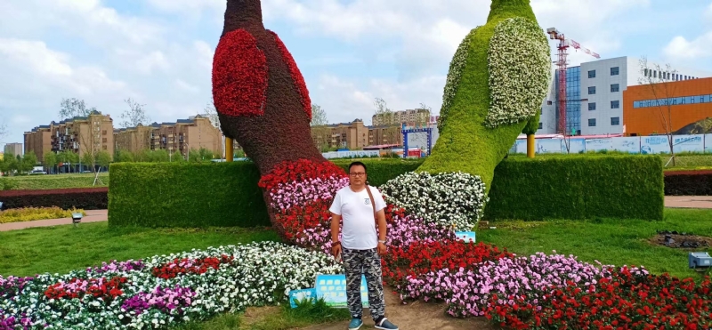 尘埃的第一张照片--宁波相亲服务中心