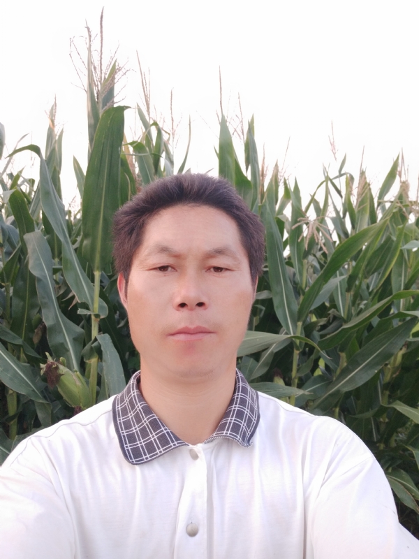 四海游龙的第一张照片--宁波相亲服务中心