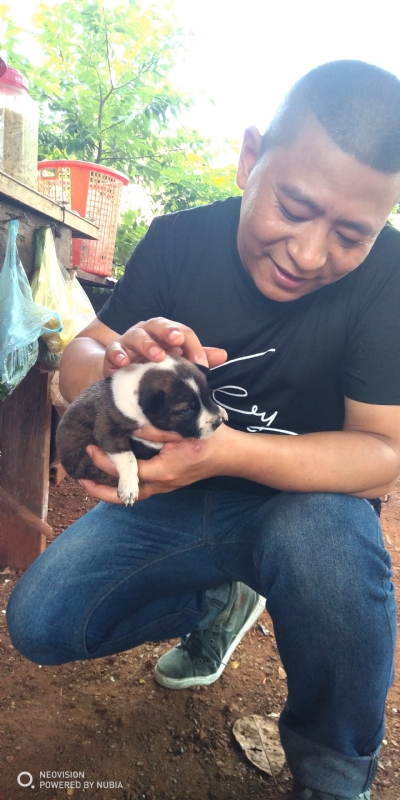 深圳相亲的第一张照片--宁波相亲服务中心