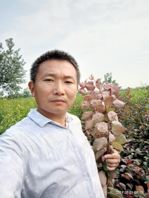 孩子爸的第一张照片--宁波相亲服务中心