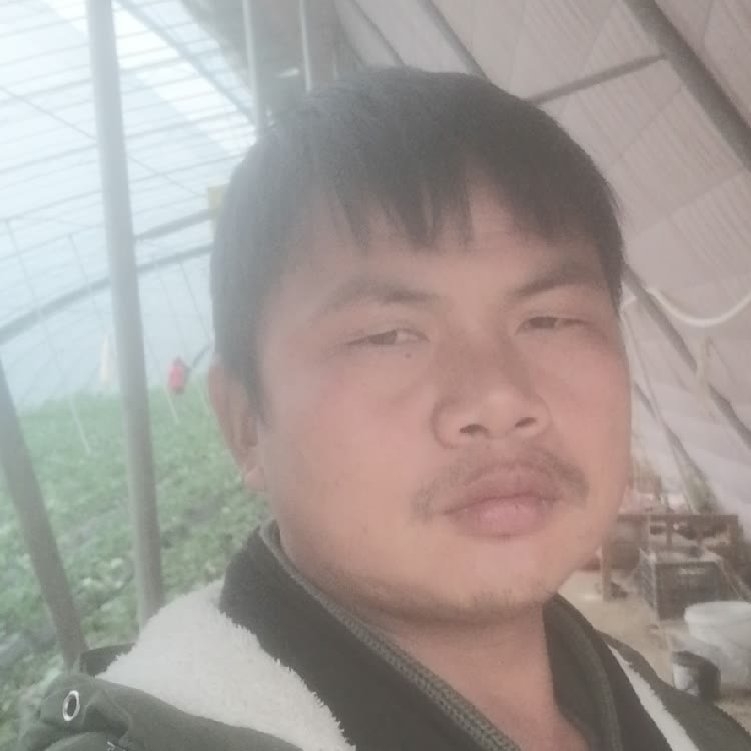 孤狼‘的第一张照片--宁波相亲服务中心