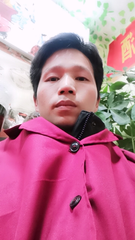 单身的林凡的第二张照片--宁波相亲服务中心