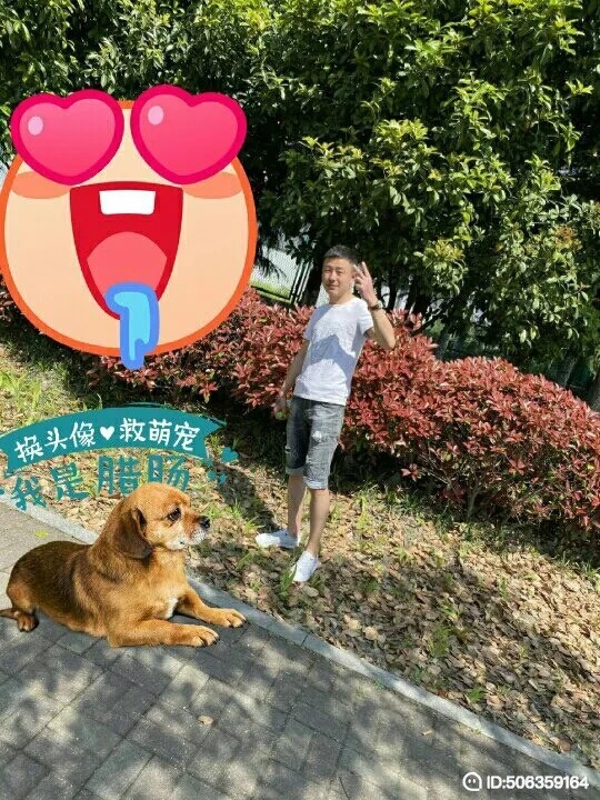 我若不坚强谁替我勇敢的第五张照片--宁波相亲服务中心