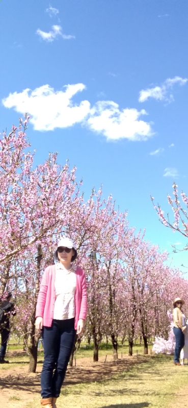 Grace的第二张照片--宁波相亲服务中心