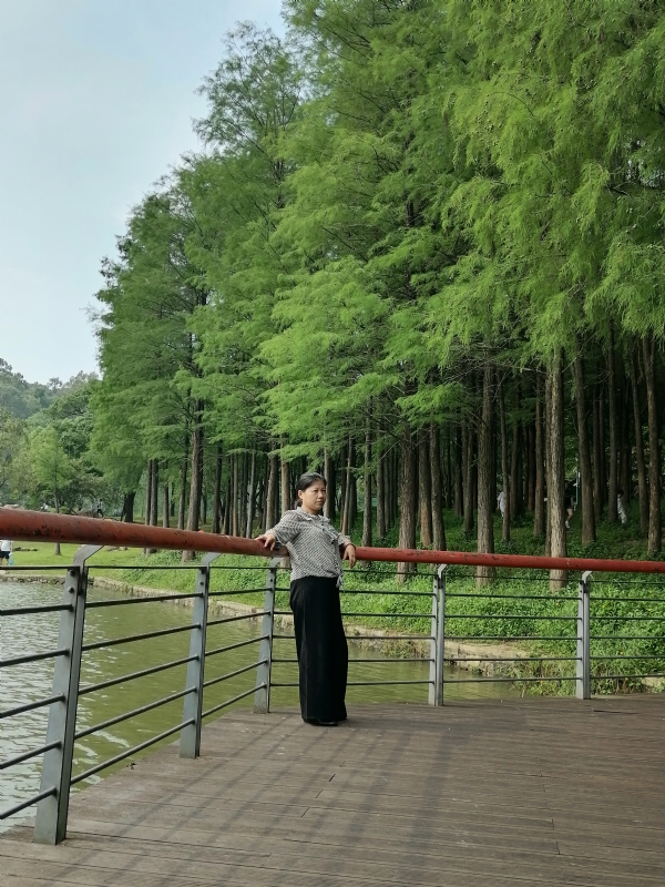 遗失的记忆的第二张照片--宁波相亲服务中心