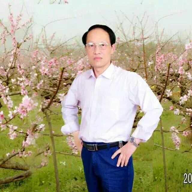 枫叶的第一张照片--宁波相亲服务中心