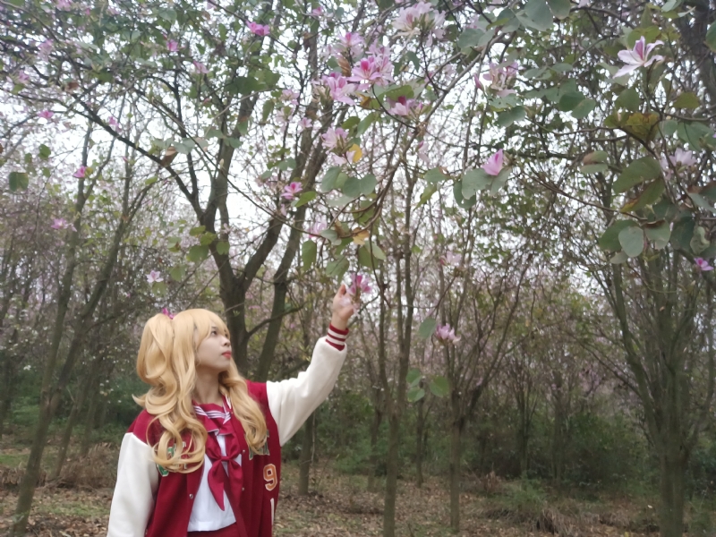 暮秋的第二张照片--宁波相亲服务中心