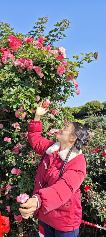 狗狗的第一张照片--宁波相亲服务中心